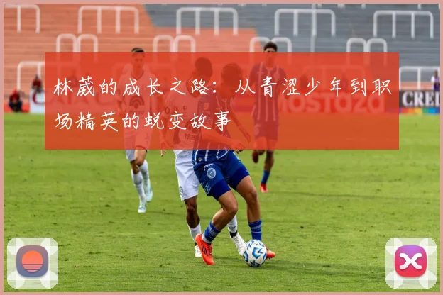 林葳的成长之路：从青涩少年到职场精英的蜕变故事