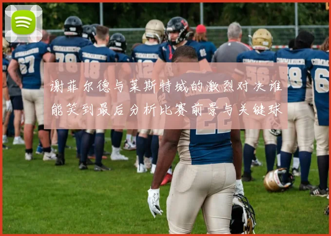谢菲尔德与莱斯特城的激烈对决谁能笑到最后分析比赛前景与关键球员表现