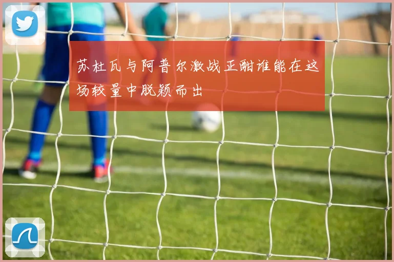 苏杜瓦与阿普尔激战正酣谁能在这场较量中脱颖而出