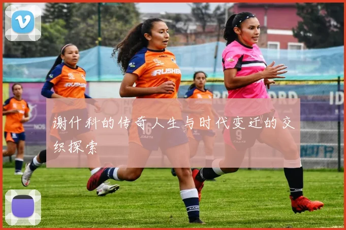 谢什科的传奇人生与时代变迁的交织探索